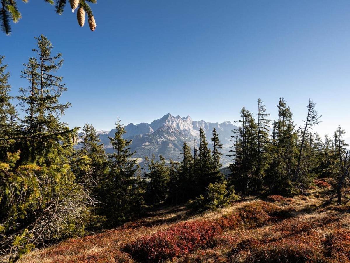 Schattbergblick Saalbach-Hinterglemm Exteriér fotografie